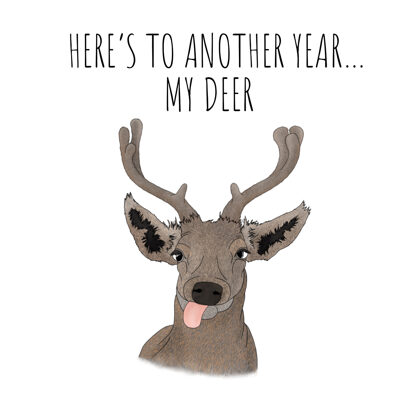 AA-1019 MY DEER