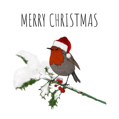 CC-1003 CHRISTMAS ROBIN