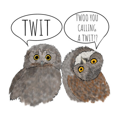 AA-1026 TWIT TWOO